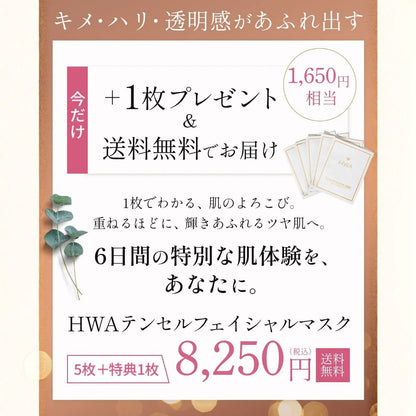 Tencel Facial Mask ZERO BOX Type (5 sheets) 