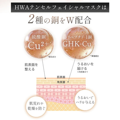 Tencel Facial Mask ZERO BOX Type (5 sheets) 